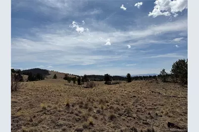 2839 Fitzsimmons Road, Hartsel, CO 80449 - Photo 13