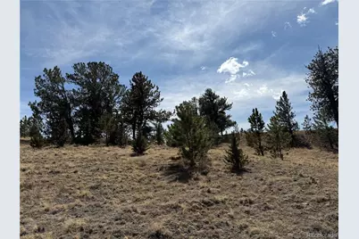 2839 Fitzsimmons Road, Hartsel, CO 80449 - Photo 9