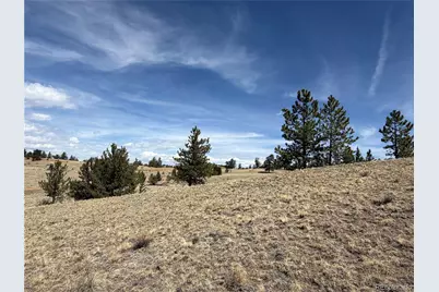 2839 Fitzsimmons Road, Hartsel, CO 80449 - Photo 11