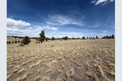 2839 Fitzsimmons Road, Hartsel, CO 80449 - Photo 23