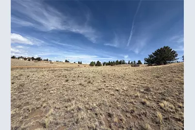 2839 Fitzsimmons Road, Hartsel, CO 80449 - Photo 7