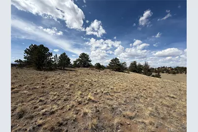 2839 Fitzsimmons Road, Hartsel, CO 80449 - Photo 21