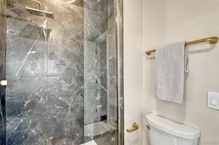 522 Columbine St, Denver, CO 80206 - Photo 27