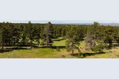 10276 Pine Song Place, Parker, CO 80138 - Photo 19