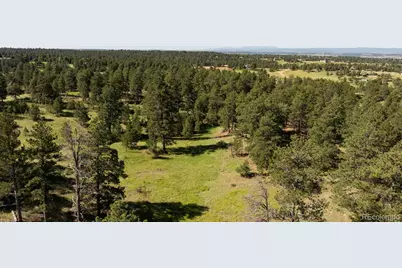 10276 Pine Song Place, Parker, CO 80138 - Photo 7