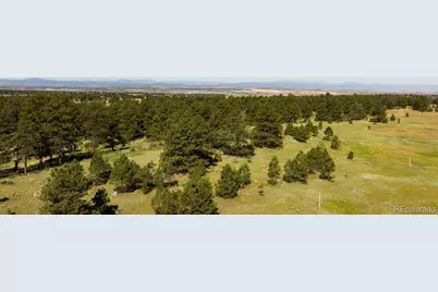 10276 Pine Song Place, Parker, CO 80138 - Photo 17