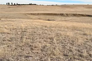 01 County Road 133, Ramah, CO 80832 - Photo 1