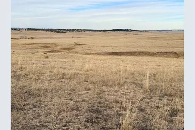 01 County Road 133, Ramah, CO 80832 - Photo 3