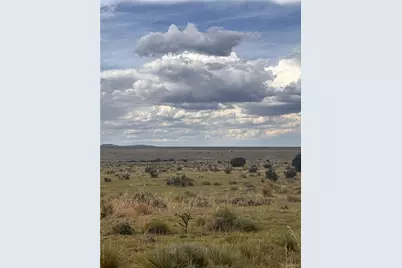 000 Lot 100 Colorado Land and Livestock Ranch, Walsenburg, CO 81069 - Photo 5