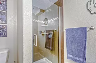 360 Kingbird Cir, Highlands Ranch, CO 80129 - Photo 23