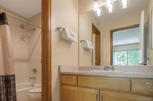 285 Kestrel Ln, Silverthorne, CO 80498 - Photo 13