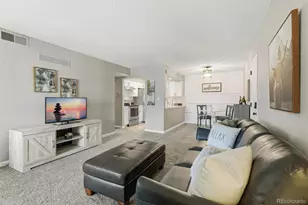 459 Wright St, Denver, CO 80228 - Photo 3