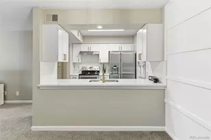 459 Wright St, Denver, CO 80228 - Photo 11