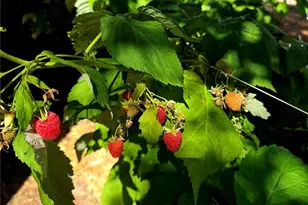 610 Hermosa St, Del Norte, CO 81132 - Photo 17