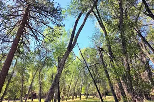 226 S San Juan Ave, Buena Vista, CO 81211 - Photo 17