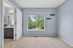 5228 Sydney Ave, Highlands Ranch, CO 80130 - Photo 27