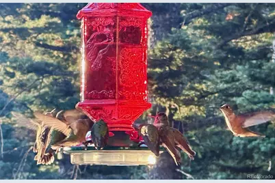 2945 Forbes Park Road, Fort Garland, CO 81133 - Photo 5