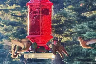 2945 Forbes Park Rd, Fort Garland, CO 81133 - Photo 5