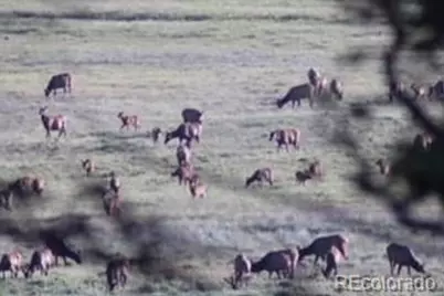 2945 Forbes Park Road, Fort Garland, CO 81133 - Photo 35