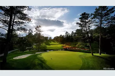 6250 Shavano Peak, Castle Rock, CO 80108 - Photo 43