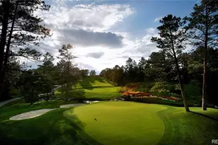 6250 Shavano Peak, Castle Rock, CO 80108 - Photo 43