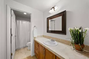 6250 Shavano Peak, Castle Rock, CO 80108 - Photo 31