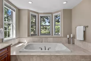 6250 Shavano Peak, Castle Rock, CO 80108 - Photo 19