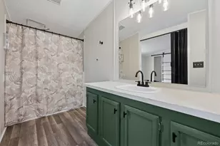 5354 E 97th Pl, Denver, CO 80229 - Photo 9