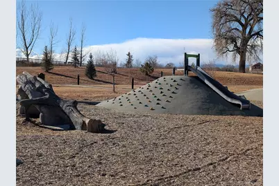 4303 Lacewood Lane, Johnstown, CO 80534 - Photo 35