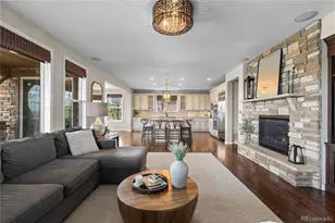 201 Maplehurst Point, Highlands Ranch, CO 80126 - Photo 11