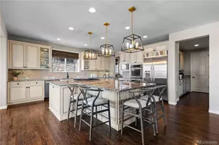 201 Maplehurst Point, Highlands Ranch, CO 80126 - Photo 15