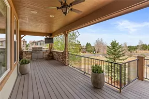 201 Maplehurst Point, Highlands Ranch, CO 80126 - Photo 43