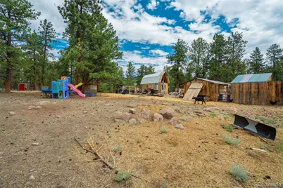 141 Cabin Lane, Guffey, CO 80820 - Photo 37