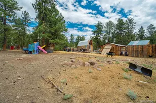 141 Cabin Ln, Guffey, CO 80820 - Photo 37