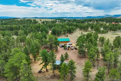141 Cabin Lane, Guffey, CO 80820 - Photo 47