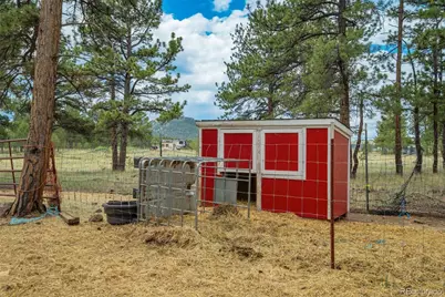 141 Cabin Lane, Guffey, CO 80820 - Photo 39