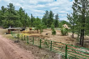 141 Cabin Ln, Guffey, CO 80820 - Photo 35