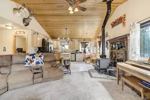 141 Cabin Ln, Guffey, CO 80820 - Photo 11