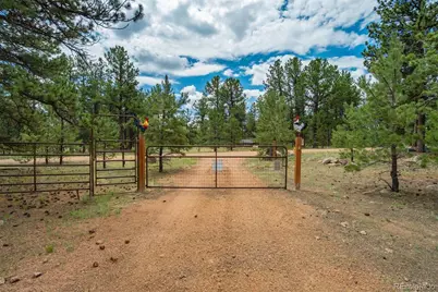 141 Cabin Lane, Guffey, CO 80820 - Photo 43