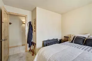 141 Cabin Ln, Guffey, CO 80820 - Photo 21