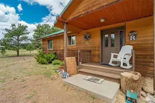 141 Cabin Ln, Guffey, CO 80820 - Photo 7