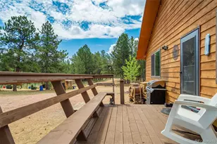 141 Cabin Ln, Guffey, CO 80820 - Photo 13