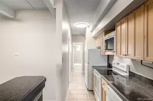590 N Logan Street, Denver, CO 80203 - Photo 9