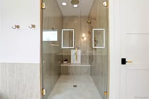 245 S Emerson St, Denver, CO 80209 - Photo 29