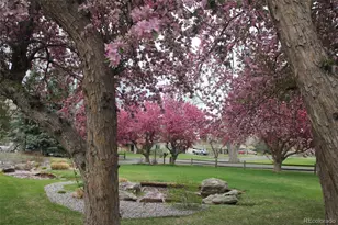 33 Skyline Dr, Wheat Ridge, CO 80215 - Photo 3