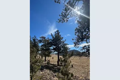 2538 Windmill Drive, Hartsel, CO 80449 - Photo 17