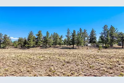 2538 Windmill Drive, Hartsel, CO 80449 - Photo 15