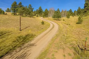 3367 Badger Creek Rd, Hartsel, CO 80449 - Photo 3