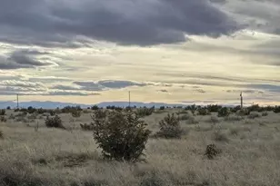 1239 N Rising Sun Pl, Pueblo, CO 81007 - Photo 3