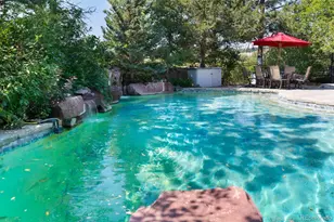 1463 Clarkes Cir, Castle Rock, CO 80109 - Photo 3